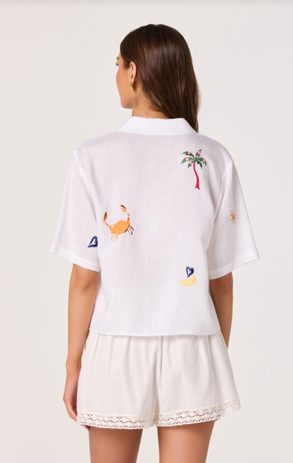 Vesa Top